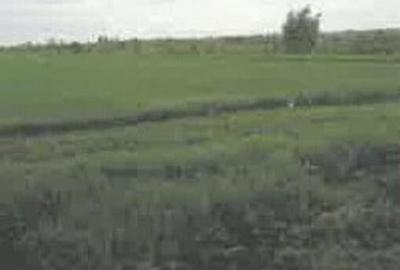 Teren de 1200 mp, în Pietroasele - 6