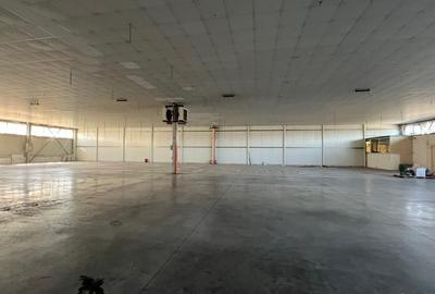 Hala 1400 pentru depozitare sau productie Hala 1400 pentru depozitare sau productie - 7