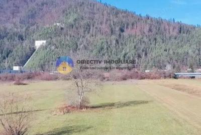 TEREN intravilan 4488 mp - PANGARA?I - 7