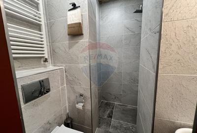 Apartament cu 5 camere semidecomandat în Grigorescu - 27