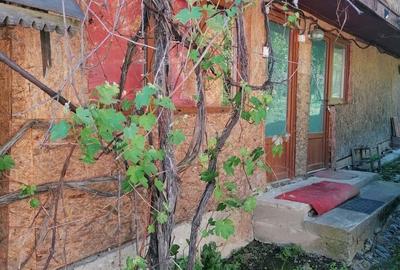 Casă cu 5 camere cu Teren 2600 Mp în Central - 16