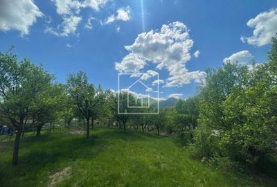 Teren intravilan 1200 mp cu priveliste superba zona Sibiel - 3