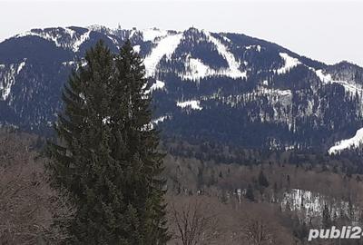 Teren de 1713 mp, în Poiana Brașov - 3