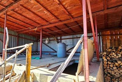 Casa si 730 mp teren, Piatra Neamt - 14