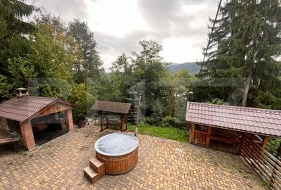 Cabana turistica complet utilata Colibi?a - 4