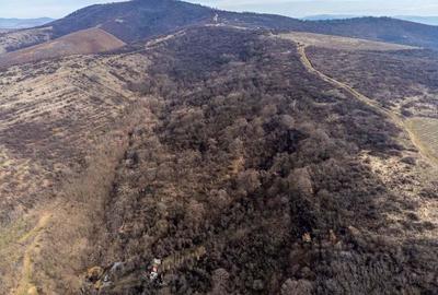 Teren in Ghioroc pe deal - 2