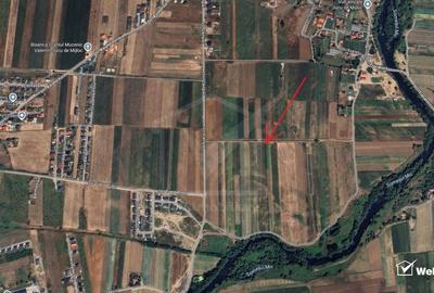 Teren agricol extravilan de 10000 mp, în Jucu de Mijloc - 5