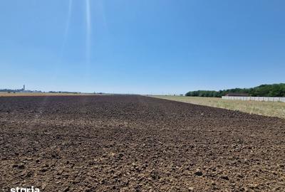 Teren de 1500 mp, în Fundulea - 7