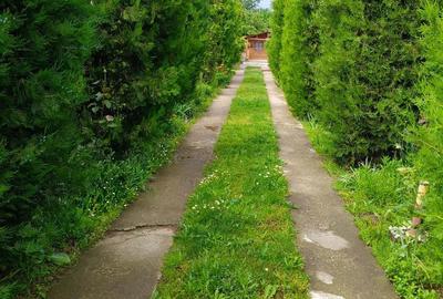 Casă cu Teren 1000 Mp în Mircea Vodă - 4