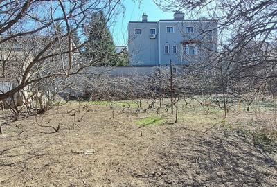 Teren Construcții intravilan de 569 mp, în P-ța Muncii - 1