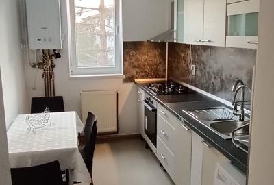 Apartament cu 2 camere decomandat în Beba Veche - 3