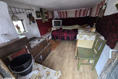 Casă cu 2 camere cu Teren 2723 Mp în Rucăr - 3