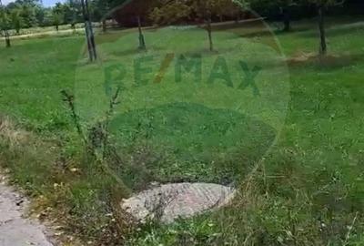 Casa langa parau-sat Brusturi, com. Halmagiu - 7