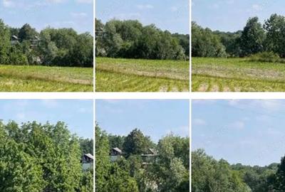 Teren de 1800 mp, în Poiana (Zvoriștea) - 10