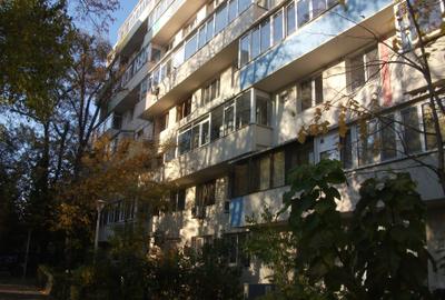 Ion Mihalache, Parter/7, stradal, 85000 Euro - 7