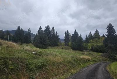 Teren de 4149 mp, în Colibița - 5