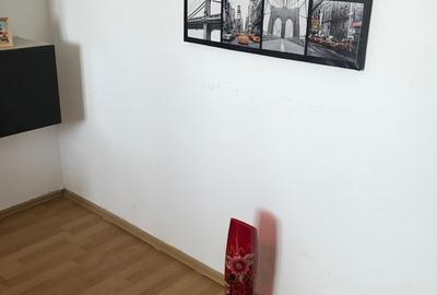 Drumul Taberei Raul Doamnei, mobilat modern si utilat complet - 3