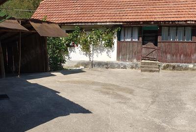 Casă cu 3 camere în Lugoj - 1