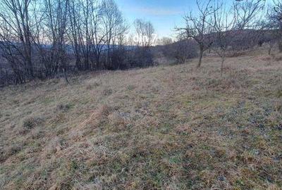 Teren de 50 mp, în Iara