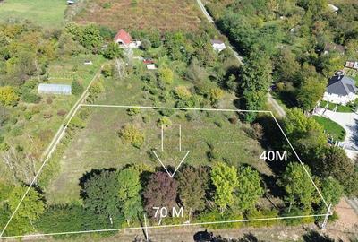 De vanzare Teren Intravilan Viile Satu Mare 2812MP/Dublu ... - 16