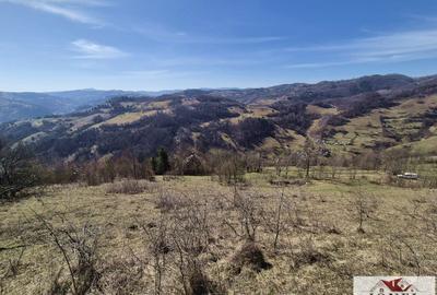 Casă individuală cu 6 camere cu Teren 1043 Mp în Bistra - 10