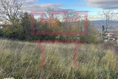 Teren  cu PUZ  Feleacu 2.800mp parcelabil/ 4 utilități asfalt panorama - 7