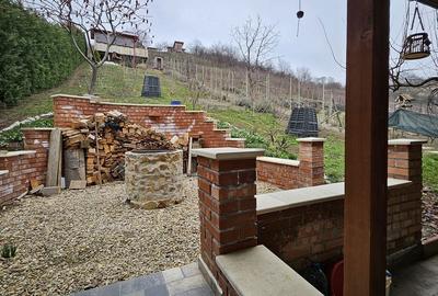 Casă cu 2 camere în Podgoria - 9