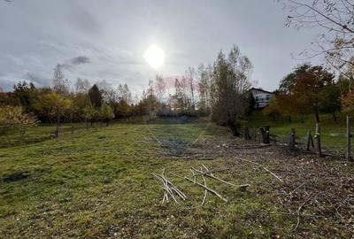 Teren de Vis in Bran - 1000mp Plat, Liniste Absoluta si Aer Curat - 10