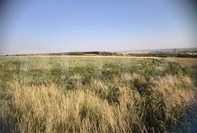 Teren 30.350 mp (600 mp intravilan) - ideal investitie, Carcea Metro - 4