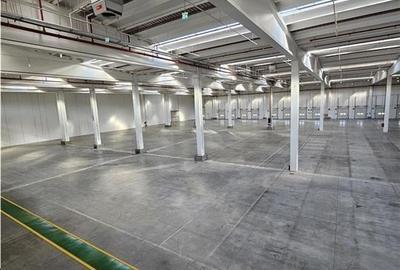 Spatiu Industrial - 5000 mp - Logistica - Depozitare - Distributie