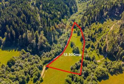 COMISION 0% Teren Bradet 7300 + 6000 mp/ Sacele /Intravilan - 5