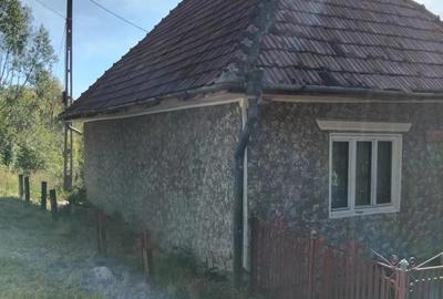 Teren + Casa Batraneasca Sat Serbanesti Salatrucel - 6