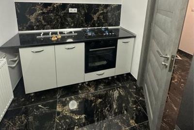 Casă cu 2 camere în Trivale - 8