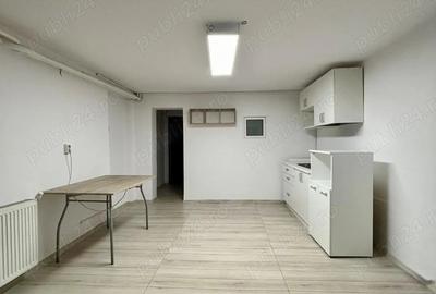 Apartament in vila, curte, zona UMF prima inchiriere - 3