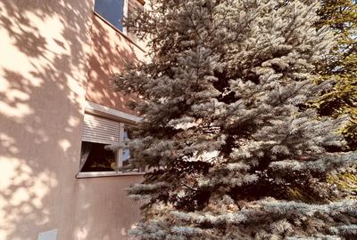 Acasa 2026  DUPLEX cu garaj si terasa  in Otopeni - Grivita, adiacent - 10