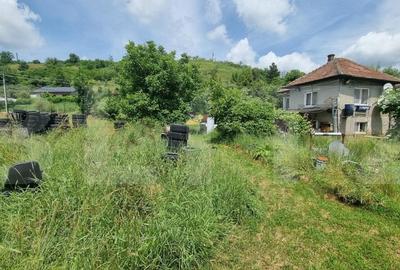 Casa individuala 140 mp cu teren 14660 mp - posibilitate de investitie, Suceagu - 3