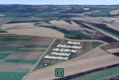 Teren extravilan de 5,99 ha la 200 m de Mure?, ideal pentru balastiera in Ususau - 1