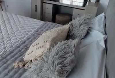 Apartament cu 2 camere semidecomandat în Take Ionescu - 1
