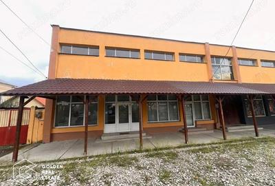 Spațiu comercial, de 180 mp, în Seleuș - 4