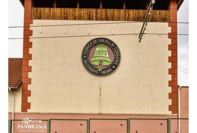 Fabrică de vânzare în Mediaș -Activ industrial cu istorie si potential - 2