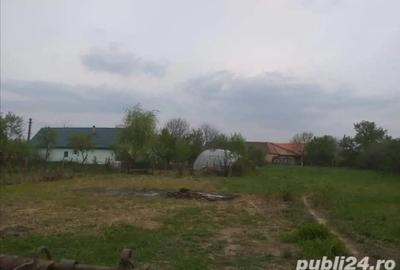 Casa de vinzare in Paulis Arad - 2