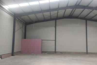 Spațiu comercial, de 540 mp, în Moara Domnească - 5