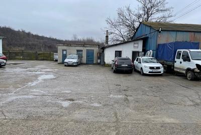 Teren Construcții intravilan de 8318 mp, în Bucium - 8