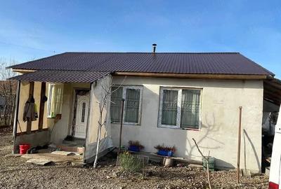 Casă cu Teren 2500 Mp în Homorog - 5