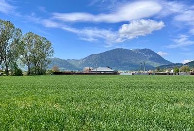 Teren Construcții intravilan de 1150 mp, în Nord - 5