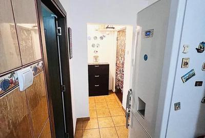 Apartament cu 3 camere decomandat, mobilat în Drumul Găzarului - 8