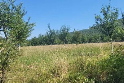 Teren în Prigor - 8