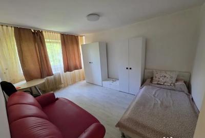 Garsonieră decomandată în Blașcovici - 5