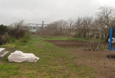 Teren în Topraisar - 6
