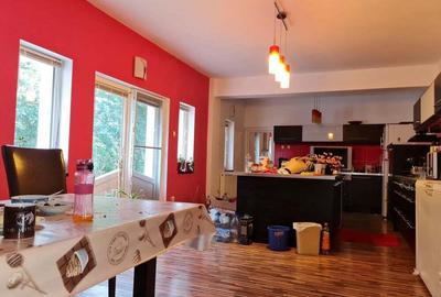 Vila pretabila amenajare pensiune in Delta Dunarii - Somova - 3